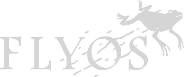 brawlhallacardgame-logo-flyos