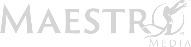 brawlhallacardgame-logo-maestromedia